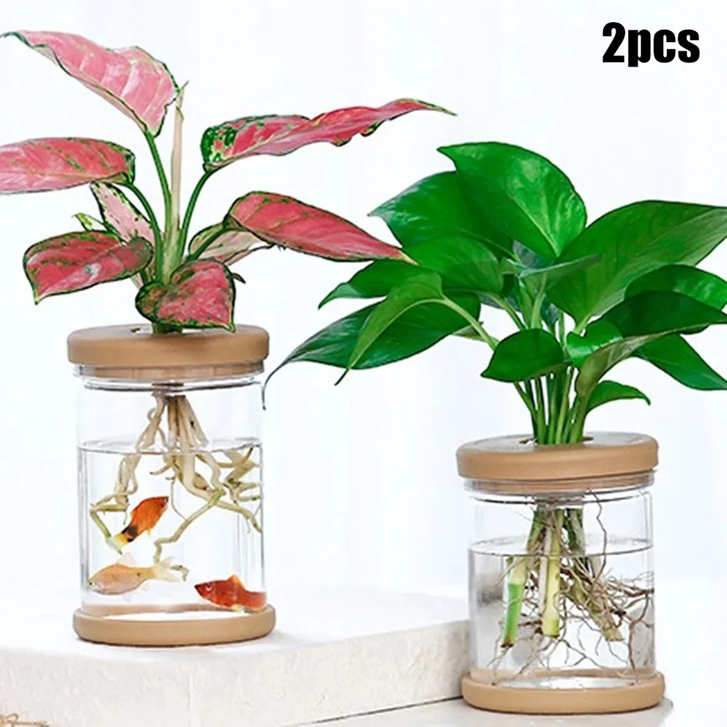 

2PCS Clear Hydroponic Flower Pot Planter For Grow Small Potted Plants Green Plant Resin Flower Pot Home Vase Decor