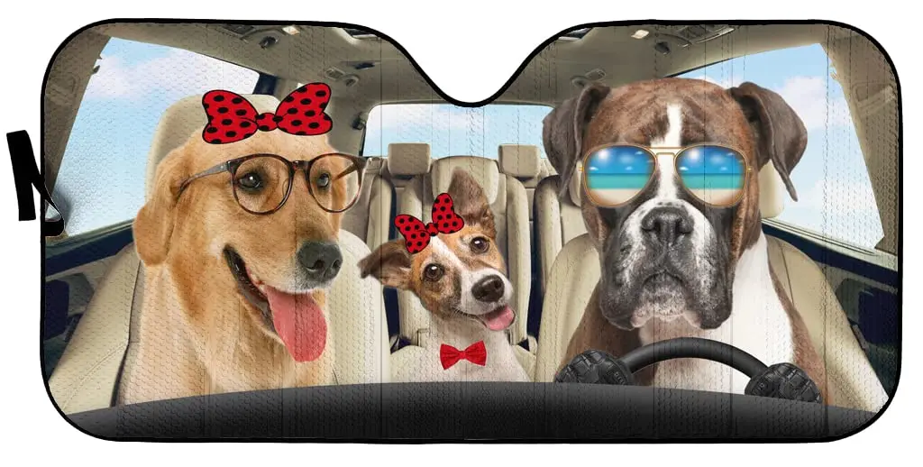 Рисунок 2 - Солнцезащитный козырек для грузовика