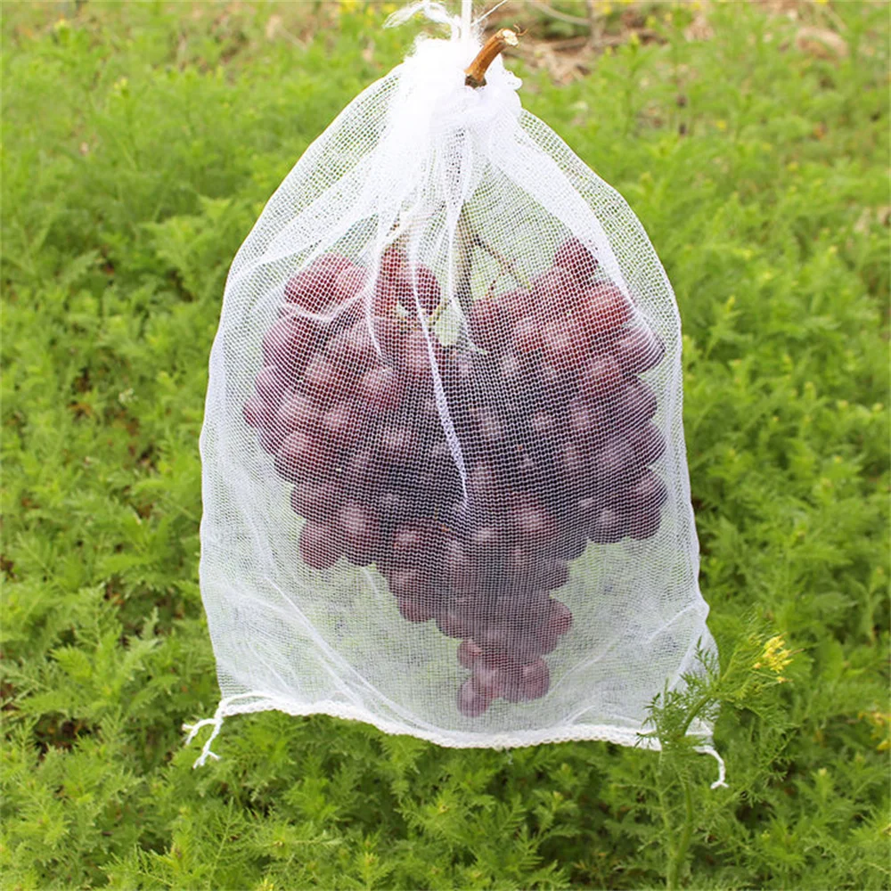 Orchard insect prevention net bag Bird net Egetable and fruit protective net cover Drosophila control Ventilated breathable bag