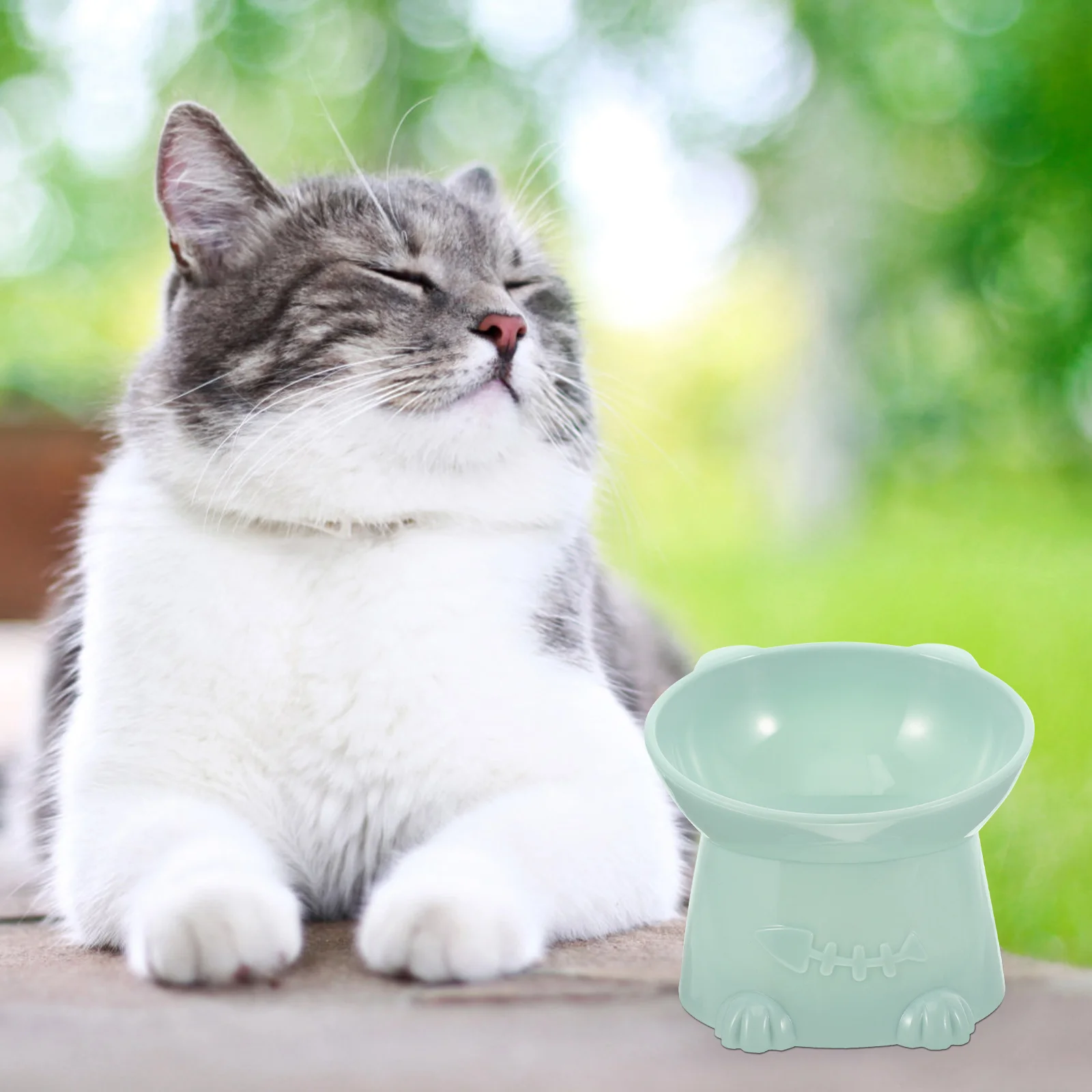 

Cat Bowl Food Bowls Indoor Cats Elevated Feeding Tilted Pet Plastic Feeder Dog Footed