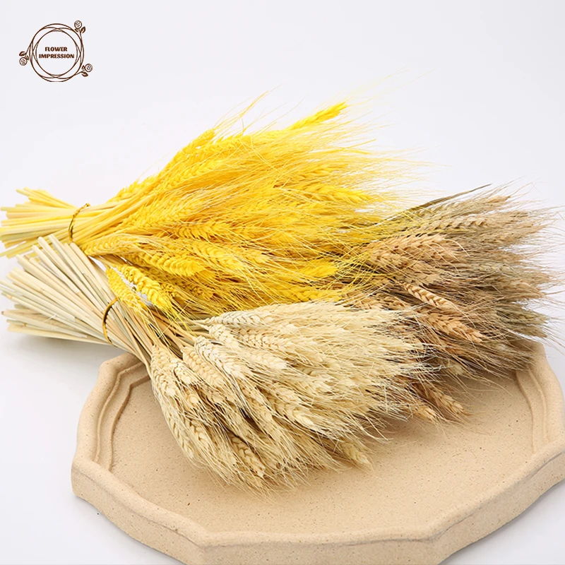 

80PCS Natural Wheat Stalks Dried Flowers Kitchen Office Flower Arrangement Boho Home Decor Wedding Party Supplies Flores Secas