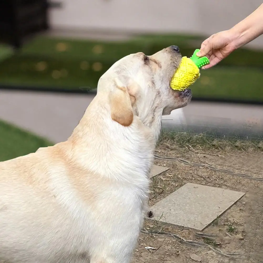 Игрушка для собаки с контролем Тартара ананас жевательная игрушка жевательной