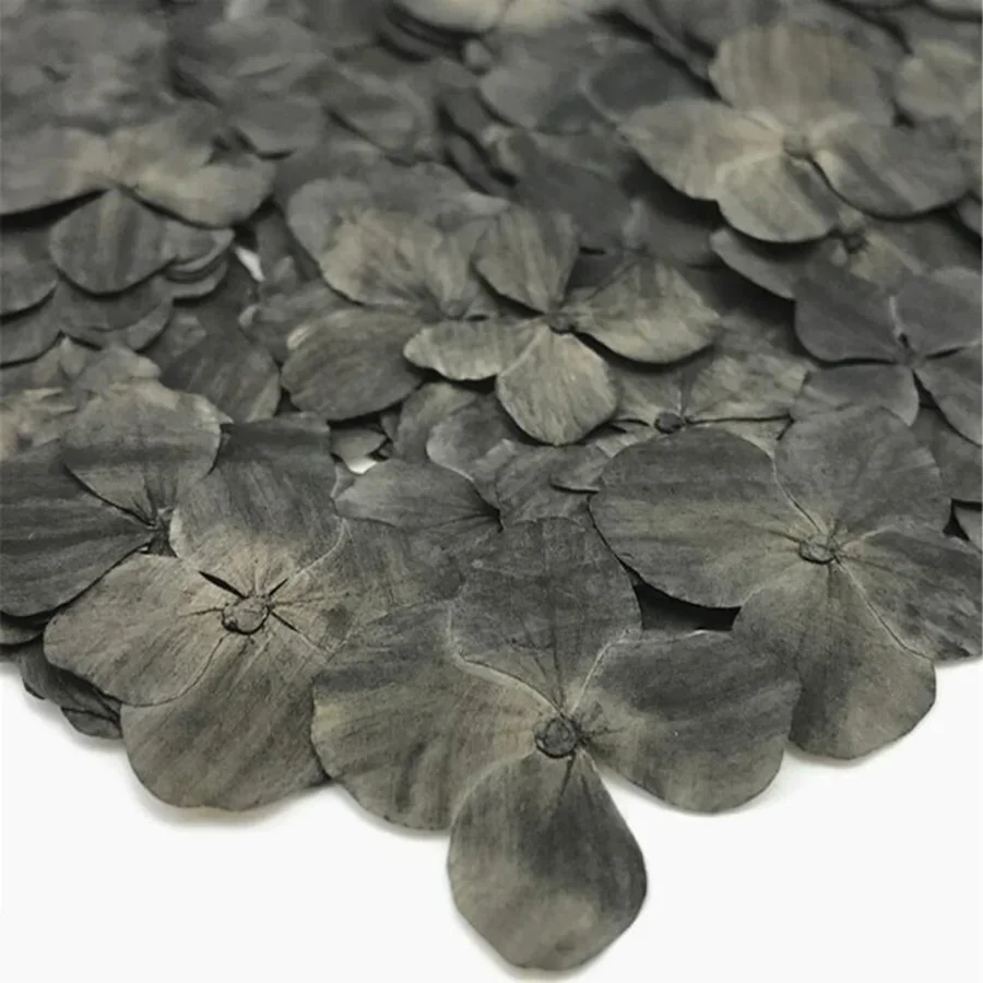 60X прессованный высушенный впитываемая Гортензия крупнолистная Цветочные