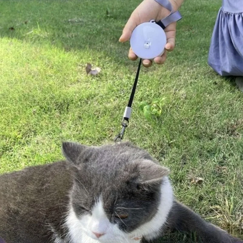 2 м/3 м выдвижной мини-поводок для собак автоматический гибкий поводок щенков и