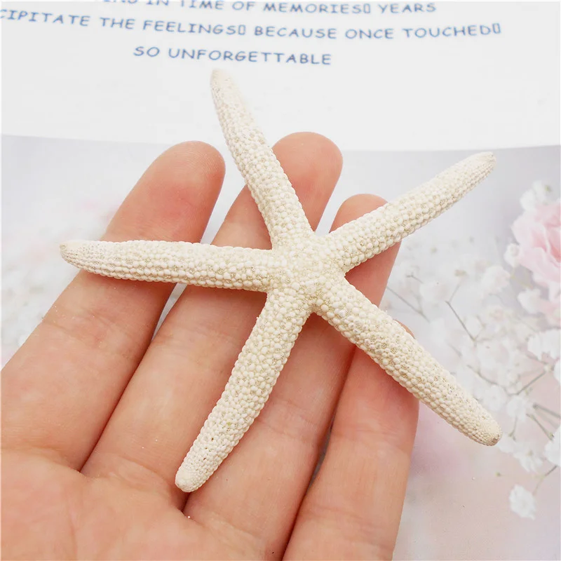 

4PCS/Box 60-80mm Natural Starfish Cabochon Flat Back Big Size DIY For Embellishment Home Decor Crafts Jewelry Accessory