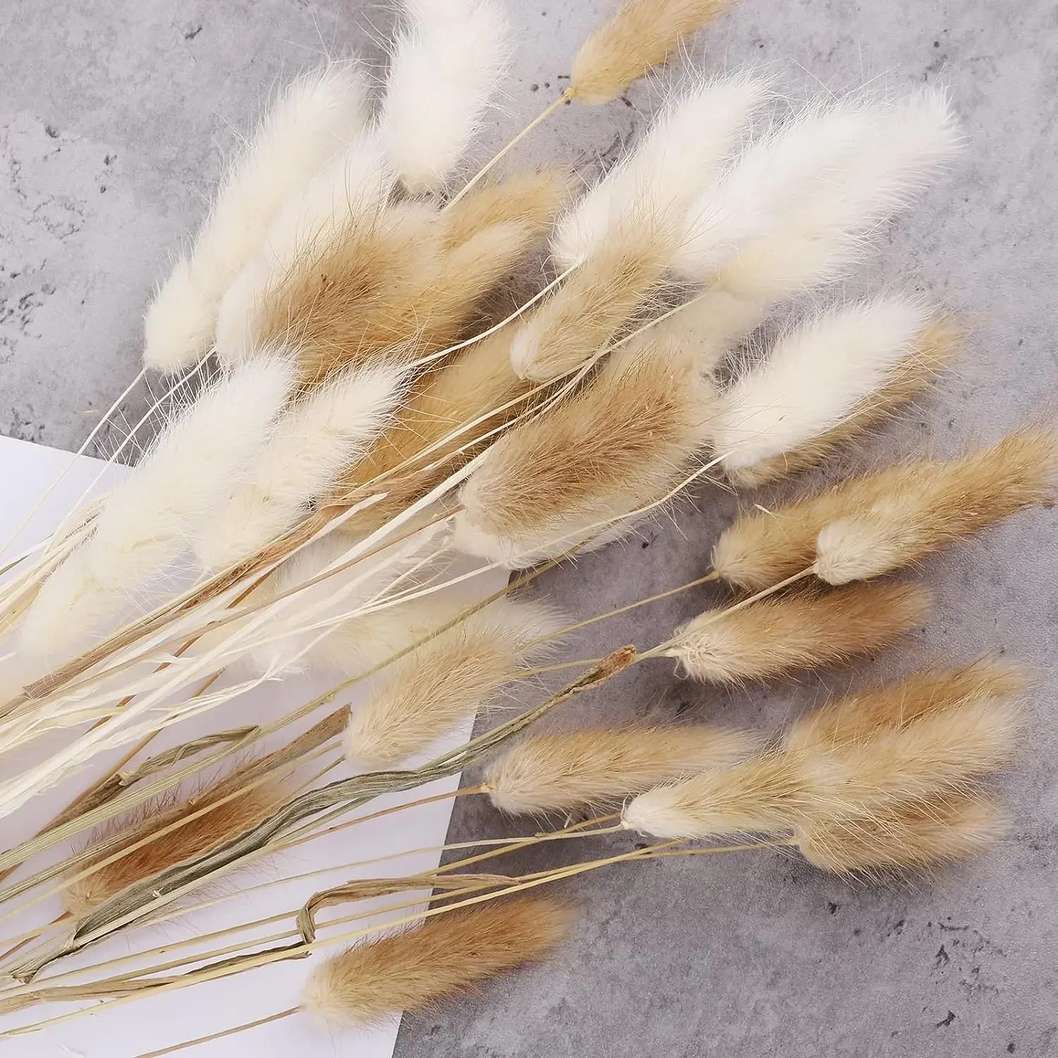 

Natural Rabbit Tail Grass Dried Flowers Bouquet Bunny Tails Photo Prop Home Party Wedding Garden Decoration Home Christmas Decor