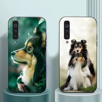 sheltie dog cute animal phone case for samsung galaxy a s note 10 12 20 32 40 50 51 52 70 71 72 21 fe s ultra plus