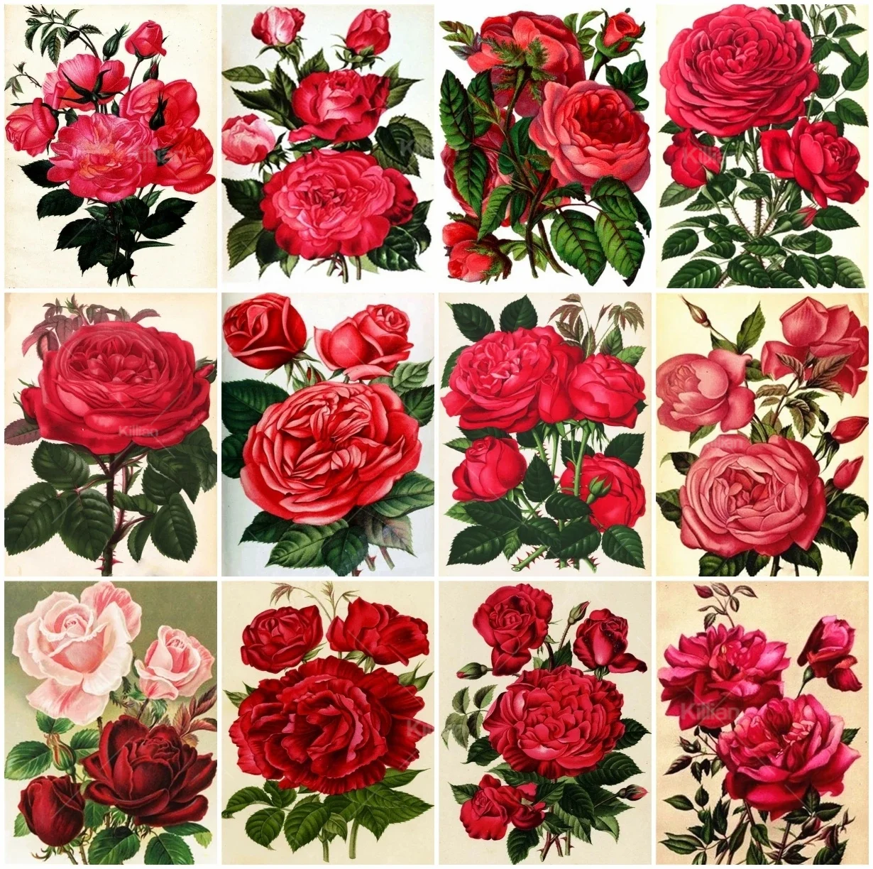 

Diamond Art Painting Rose Cross Stitch Kits Needlework Rhinestones Full Square Diamond Embroidery Flower Mosaic Home Decor