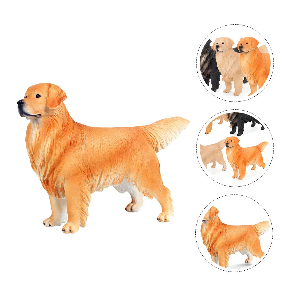 Рисунок 2 - Золотистый ретривер