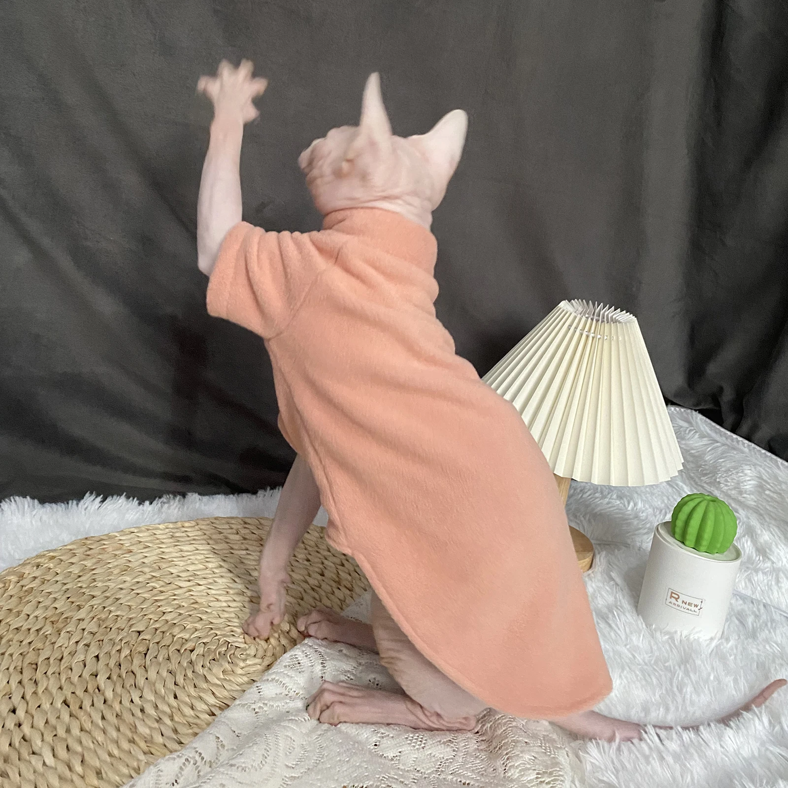 

Осенне-зимняя одежда со сфинксом для кошек теплая плотная одежда для котят Beerus Devin Rex