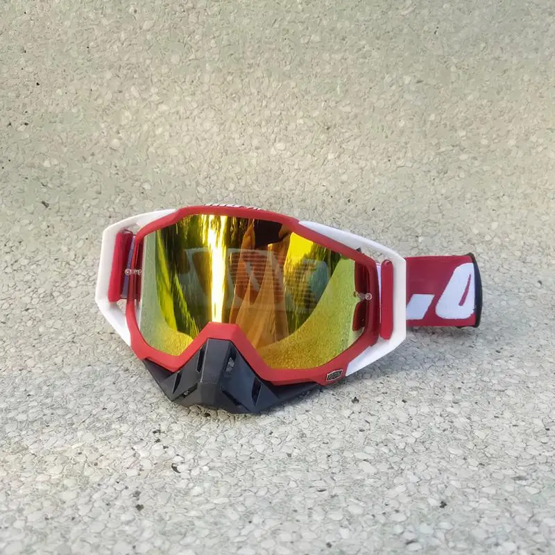 Рисунок 2 - Очки для мотокросса Foxiss 100