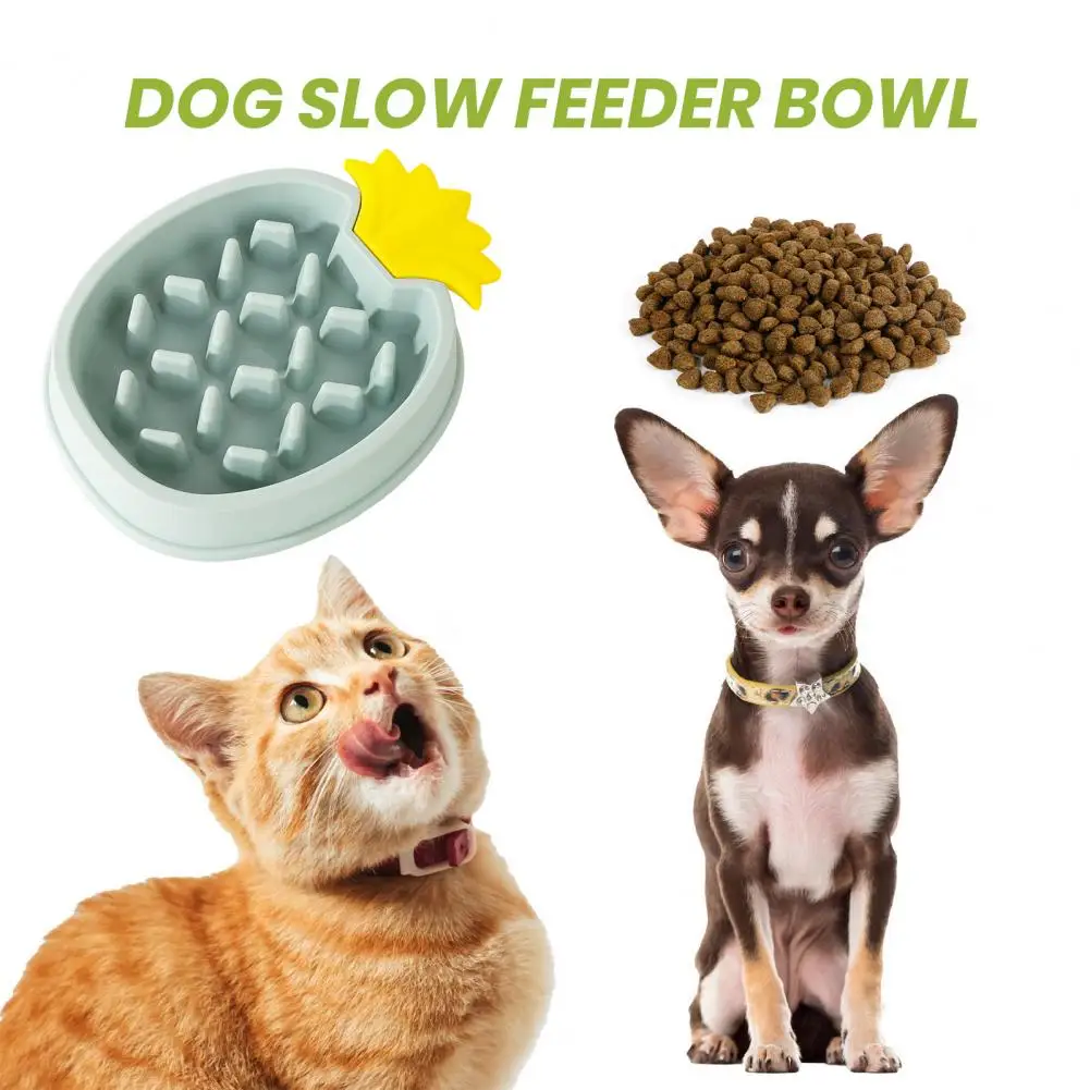 Купить Миску Для Медленного Кормления Собак
