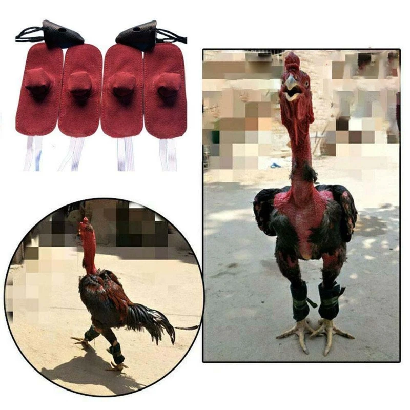 

2022 New 4Pcs Fighting Cock Mitts Cockfighting Tools Set Durable Leather Rooster Fighting Sleeves Elastic Strap Universal Size