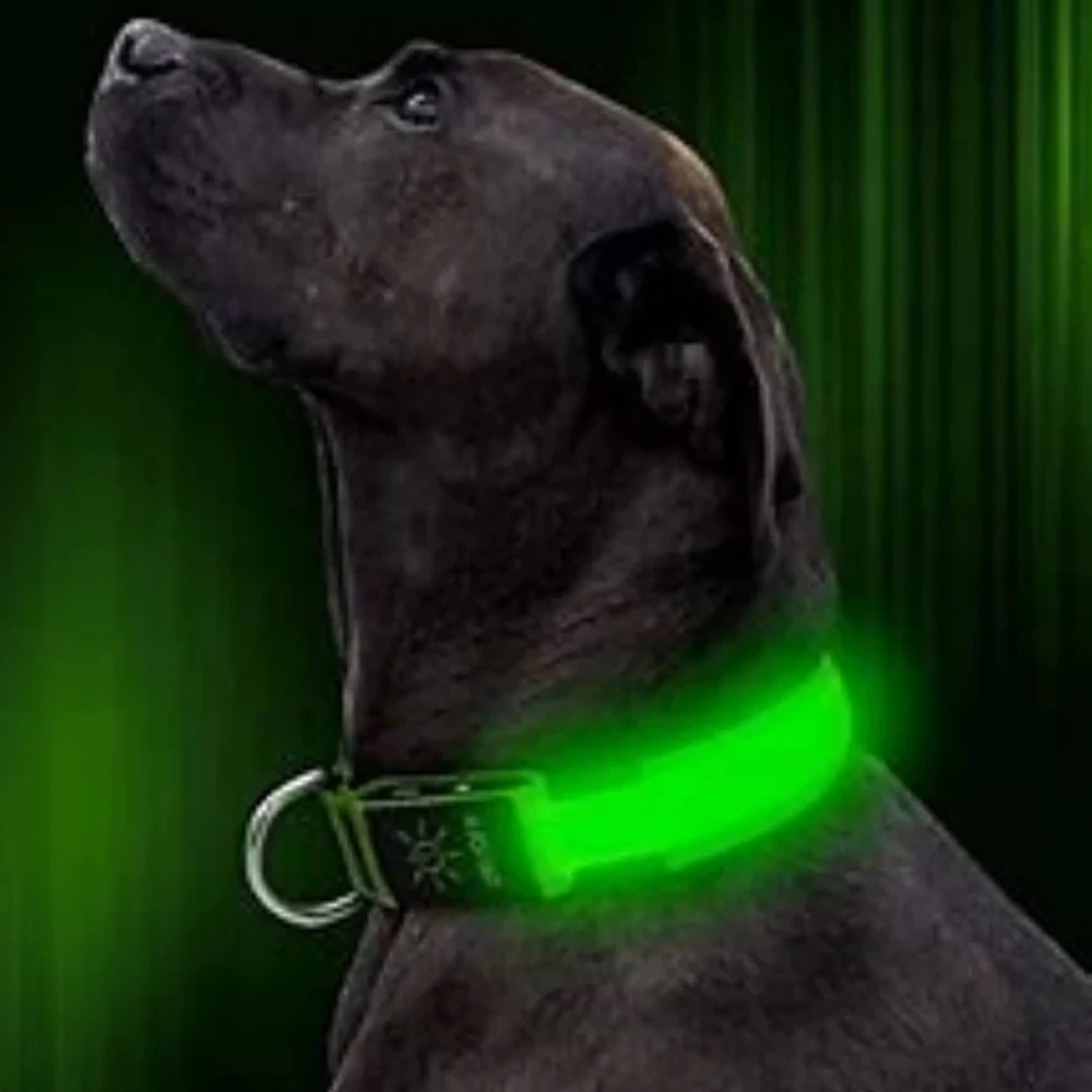 

Anti-lost Luminous Fluorescent Dog Collars LED Pet Dog Collar Night Safety Flashing Glow In The Dark Dog Leash Dogs Collars