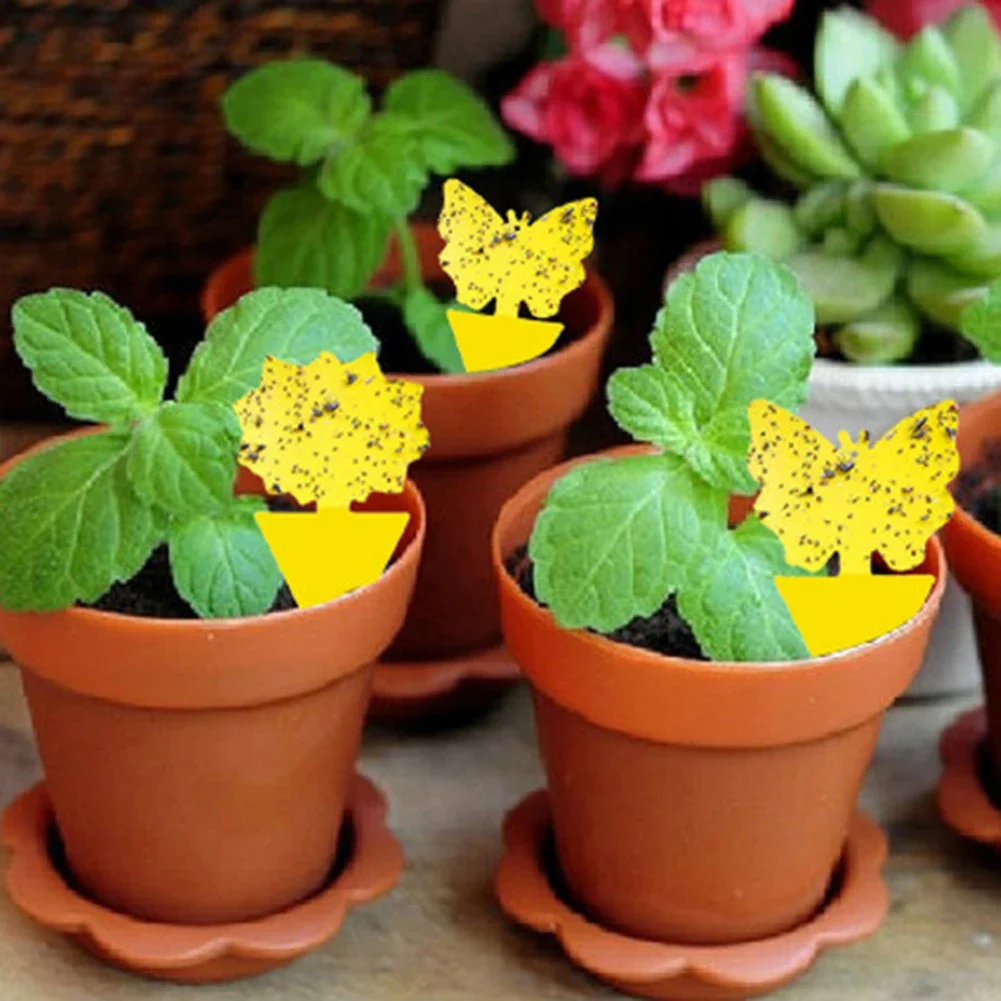 10-30 шт. двусторонние клейкие ловушки для насекомых