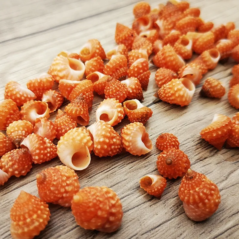 Природные змеи образец башни сменные рыболовные резервуары и микроландшафты для