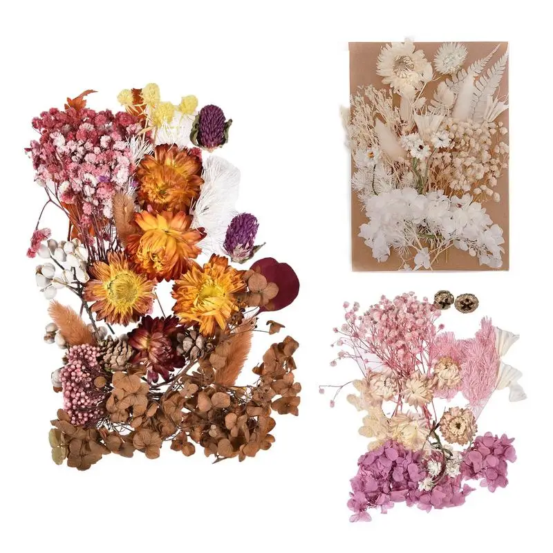 

Dry Flowers True Dried Pressed Flowers Dried Flowers Leaves Bulk For DIY Candles Epoxies Pendants Necklaces Jewelry Crafts Decor
