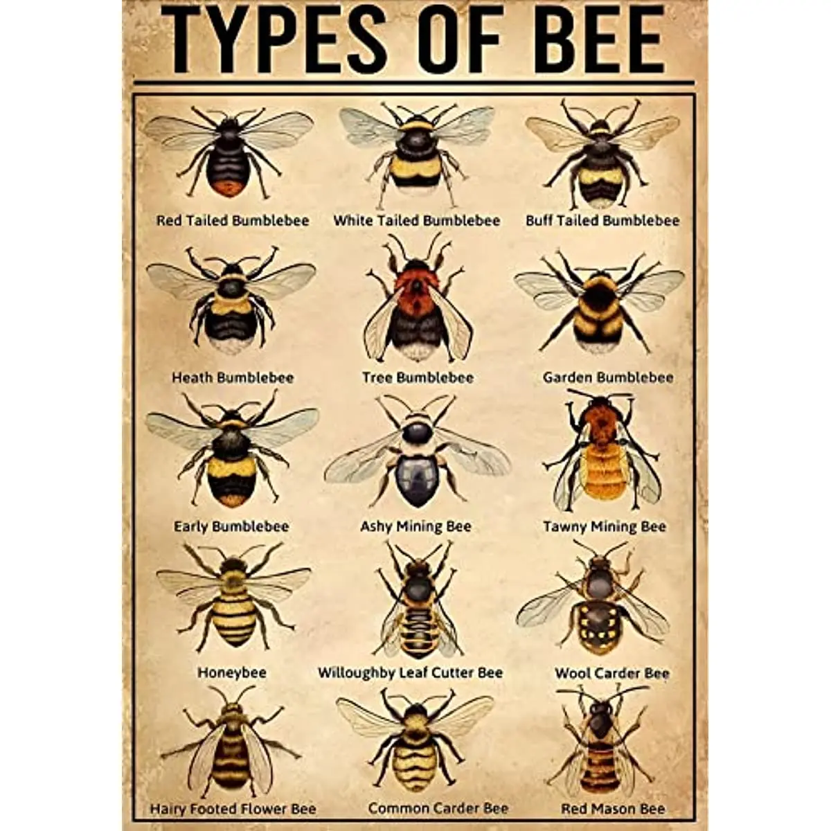

New Types of Bee Poster, Bee Poster Vintage Metal Tin Sign Decor Gifts for Girls Living Room Decorations Metal Tin Sign