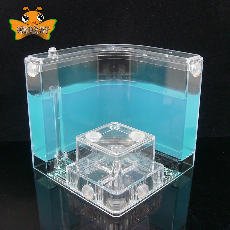 Ants Farm Ants House Castle Transparent Insects Terrarium Ant Cage Insects Observed Box Nursery Ecological Educational Model Toy
