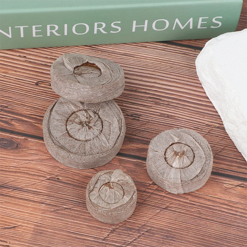 

5 шт., торфяные гранулы для посадки садовых цветов