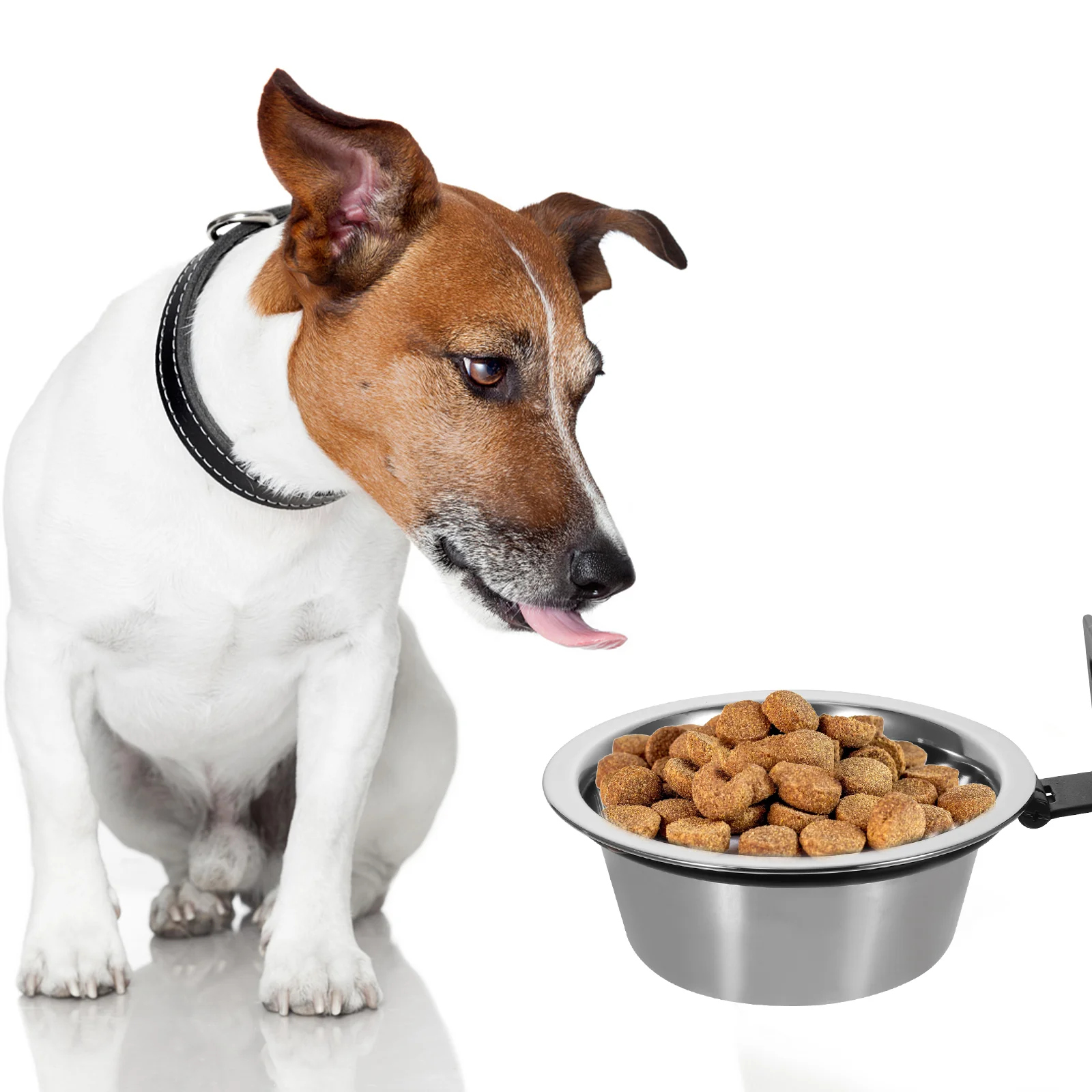 

Elevated Dog Bowls Wall Mounted Dog Food Dish Pet Comfort Feeding Bowls Raised Food Water Bowls Small Medium Large Dogs