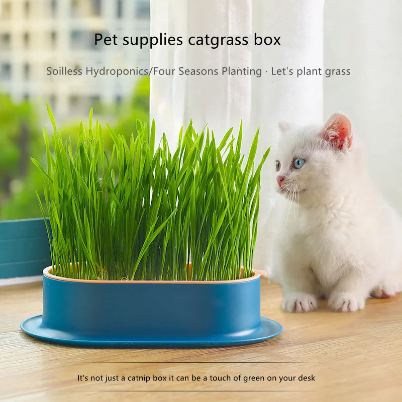 Pet Cat Grass Digestion Growing Tray Starter Dish Greenhouse Hydroponics Plant Cat Grass Germination Nursery Pot Grow Box