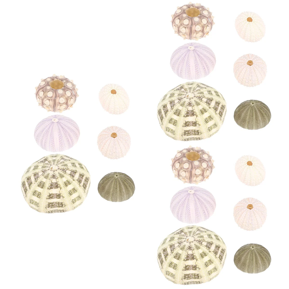 

18 pcs Sea Urchin DIY Craft Ornaments DIY Crafts Fish Tank Decors