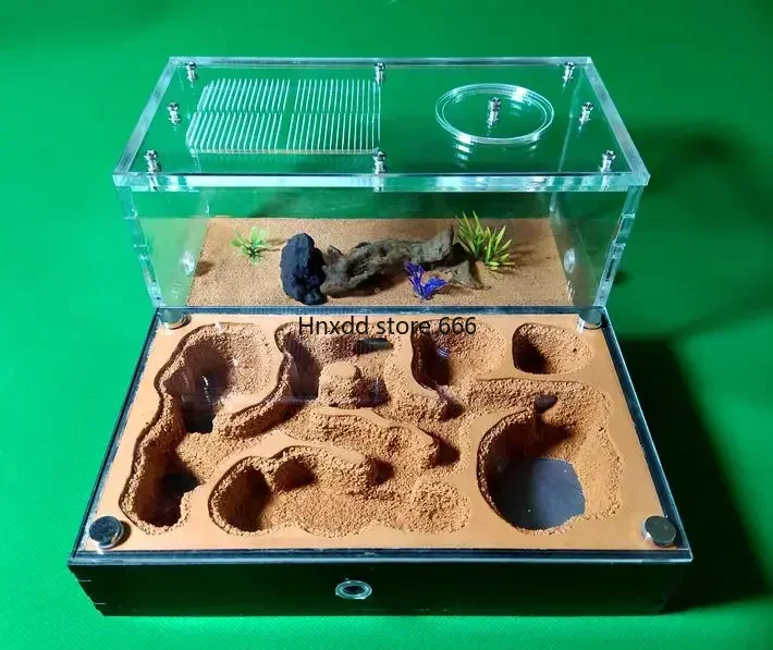 Формикариум для разведения муравьев муравьиная семья гнездо школы научная
