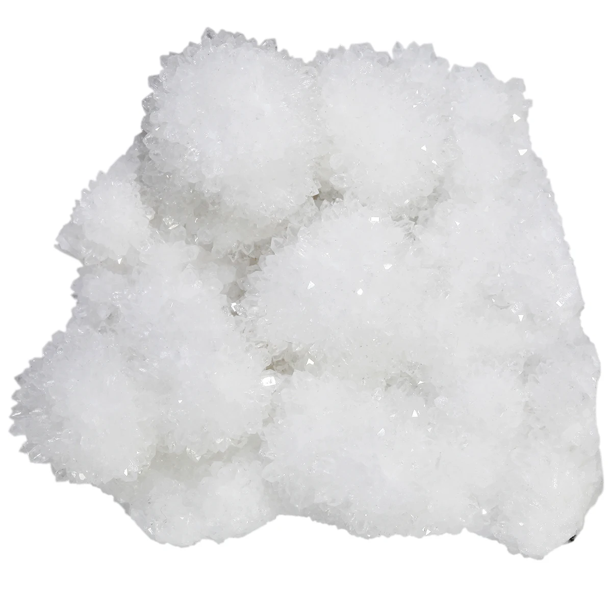 TUMBEELLUWA 100 г неправильной идентификации