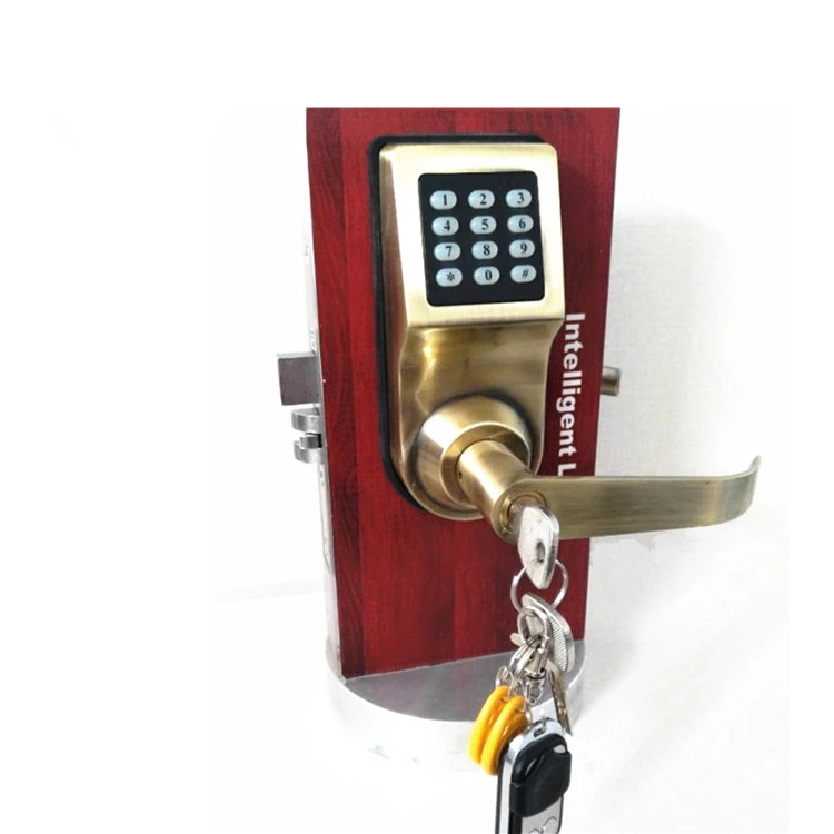 

2019 Hot Sale Zinc Alloy remote control smart door lock