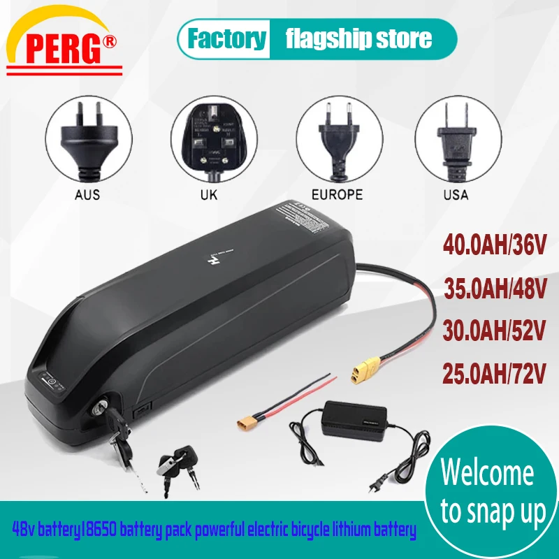 

36V 48V 60V 72V 18650 Electric Bicycle Battery Hailong Battery Box with USB 1000W Motorcycle Modification Kit Octagonal