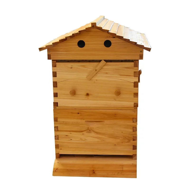 Инструмент для пчеловодства автоматически захватывает медовый поток пчелиные