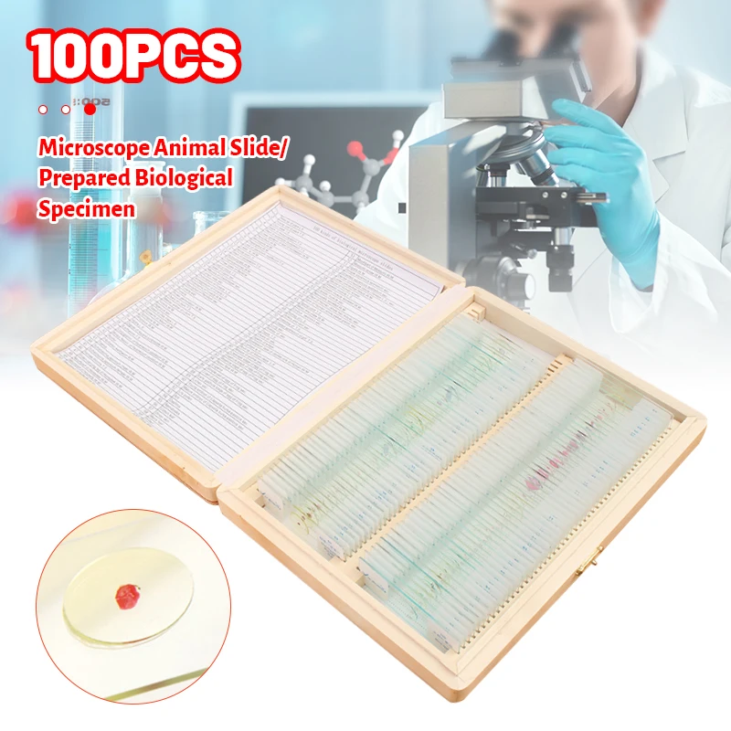 

100PCS/Set Microscope Glass Slides Glass Sample Prepared Basic Science Biological Specimen Cover Portable Wood Storage Box