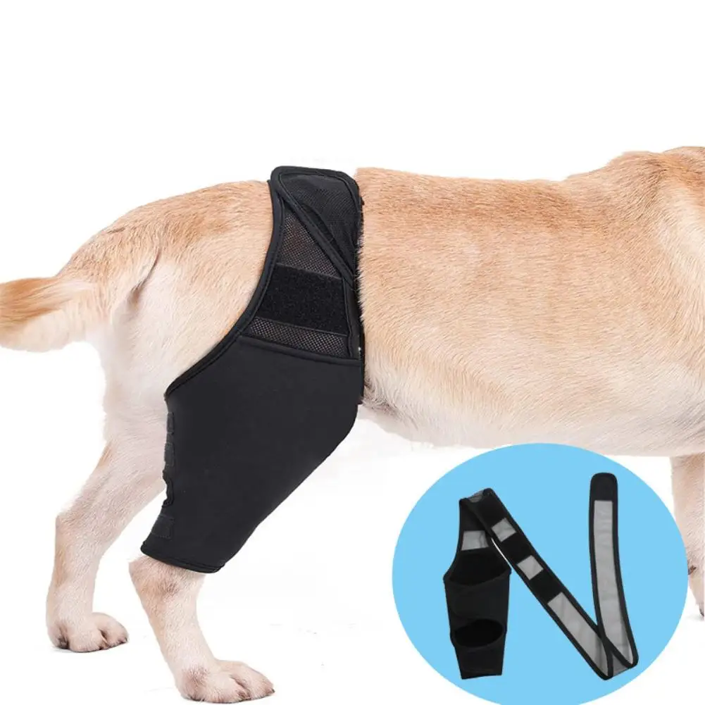 

YOUZI Pet Dog Knee Brace For Joint Pain Muscle Sore Leg Brace Rear Leg Bracer Support For Elderly Disabled Injured Dogs