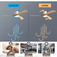 Вентилятор потолочный#3
