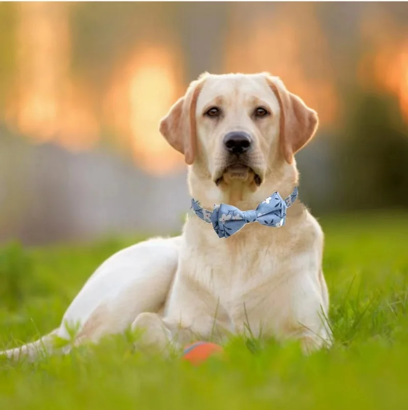 

Защитный галстук-бабочка для кошек, 100% хлопок, ожерелье для чихуахуа, Регулируемый Собачий Ошейник для щенков, кошек, аксессуары