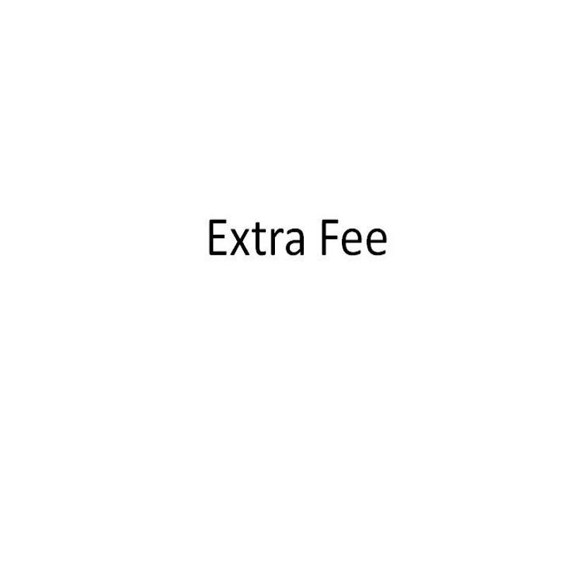 

Extra Shipping Fee for Resend or Make up the difference
