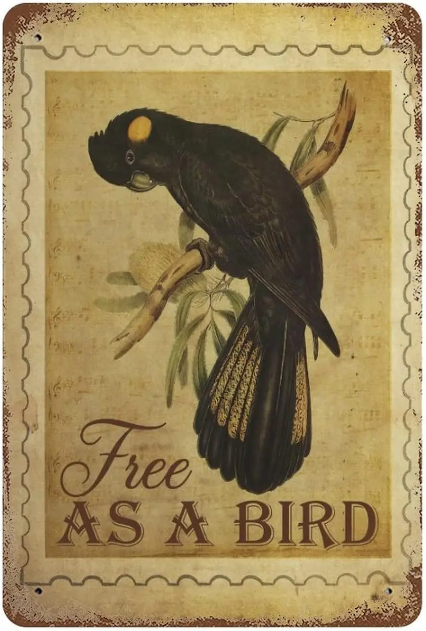 Металлическая Оловянная вывеска акварель Цветная птица алюминиевая