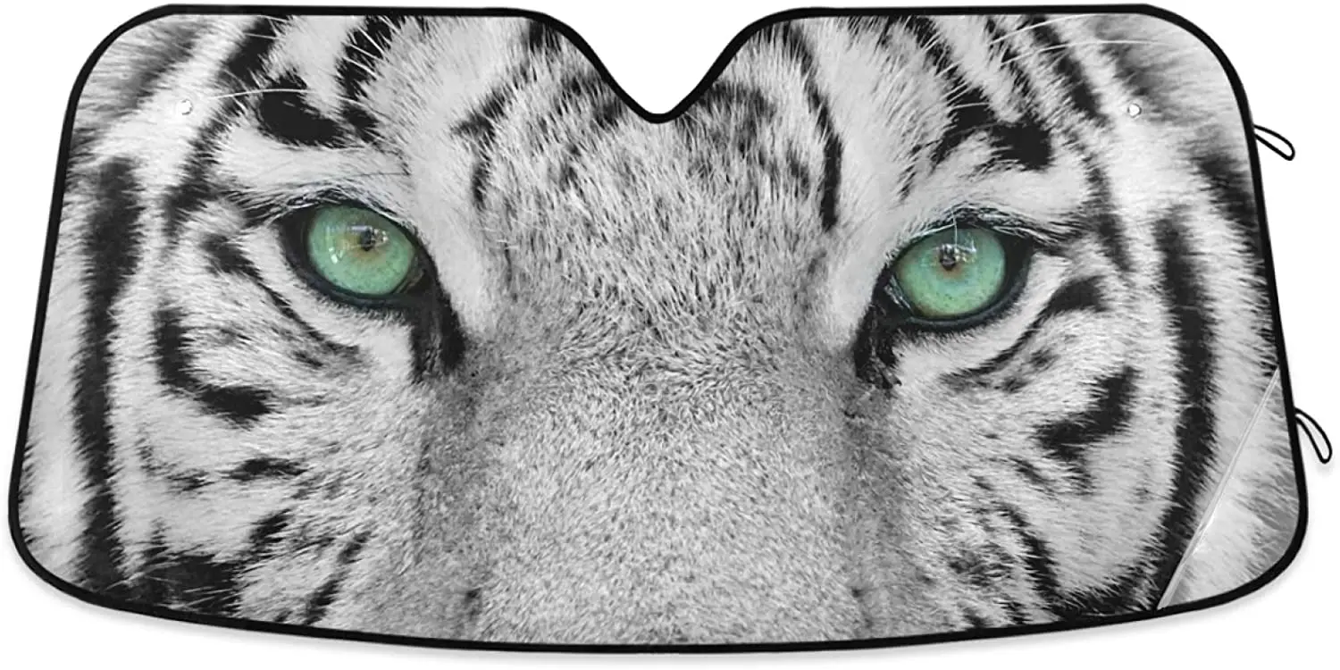 Солнцезащитный козырек Oarencol