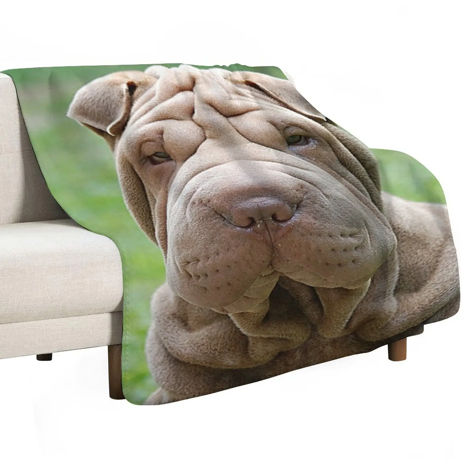 Фото Плед Shar-Pei, устойчивый к сминанию, легкий плед №2