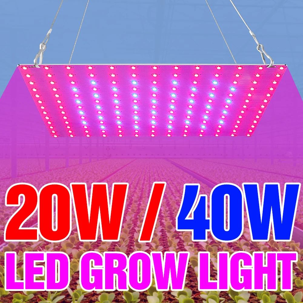 

Светодиодсветильник фитолампа полного спектра, квантовая панель, УФ лампа для растений, 20 Вт 40 Вт для комнатных цветов, семян, гидропоника, с...