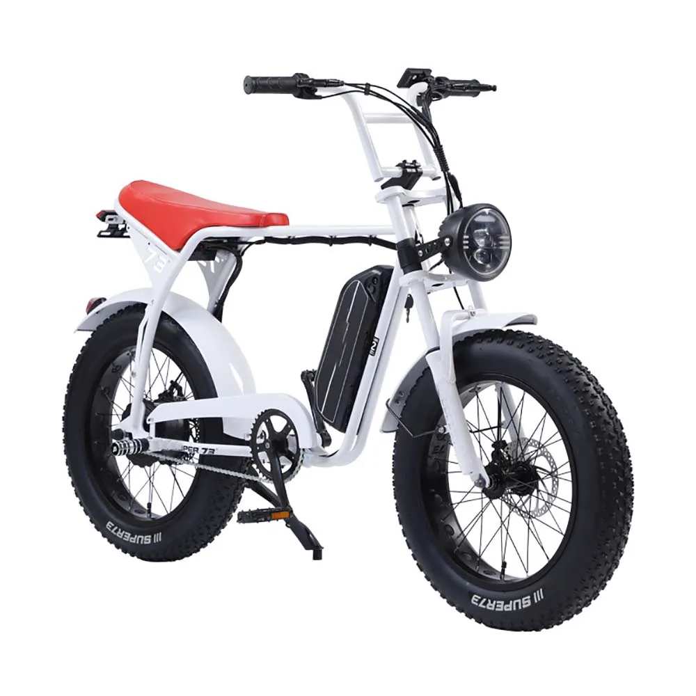

20 Inch Electric Bicycle Mountain Electric Biking High Carbon Steel Frame Front And Rear Double Disc Brakes 48v Lithium Battery