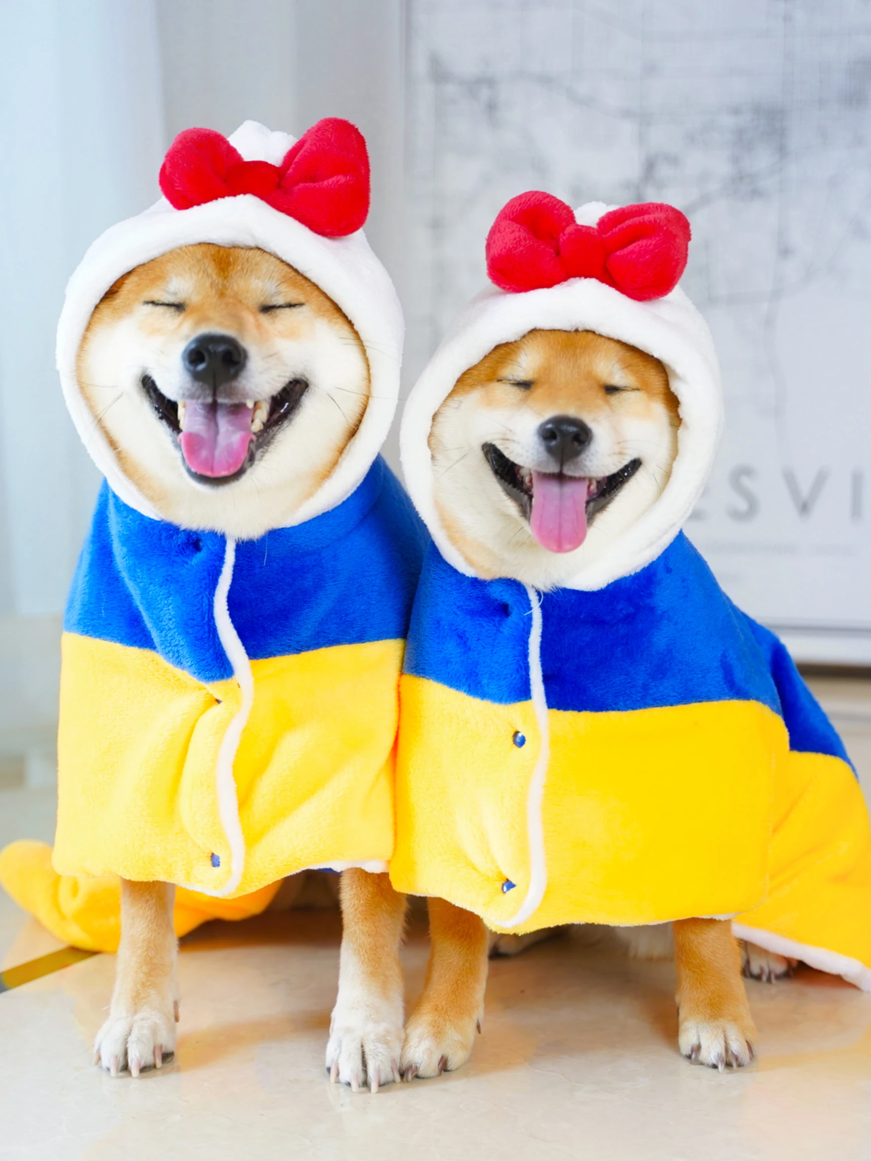 

The dog dog cute princess cloak cloak autumn winter thick clothes to keep warm robe flannel blanket wood corgi dog sleeping bag