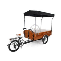 multifunction adult tricycle electric cargo bike kiosk mobile food display cart for sale coffee fruit beer on the street