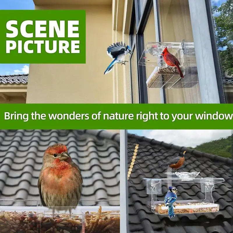 

Window Bird Feeder Weatherproof Birdfeeders Seed Tray With Strong Pet Feeder Suction Cups Installation House Type Feeder