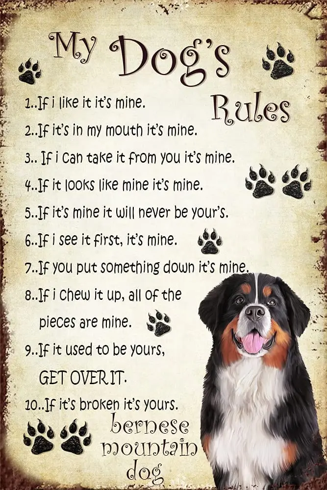 

Bernese Mountain Dog Rules Vintage Rusty Metal Sign Home Wall Decoration Metal Plaques