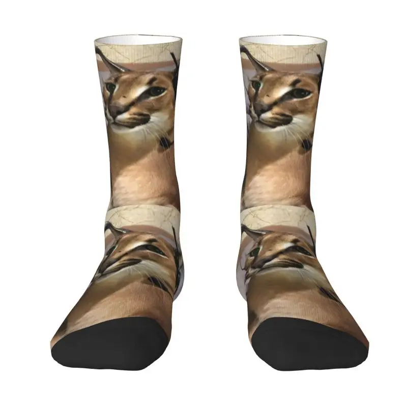 

Harajuku Big Cat Socks Men Women Warm 3D Printing Floppa Basketball Sports Socks