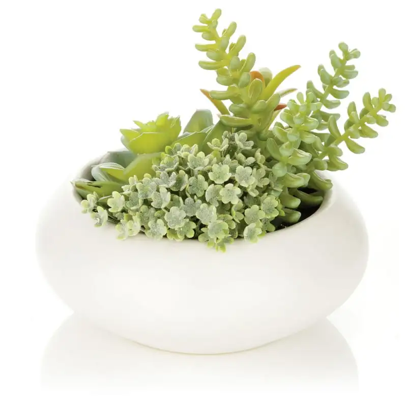 

Mixed Artificial Succulent Arrangement in Cement Planter Pot Flowers artificial wholesale Hydrangea artificial flowers Dried flo