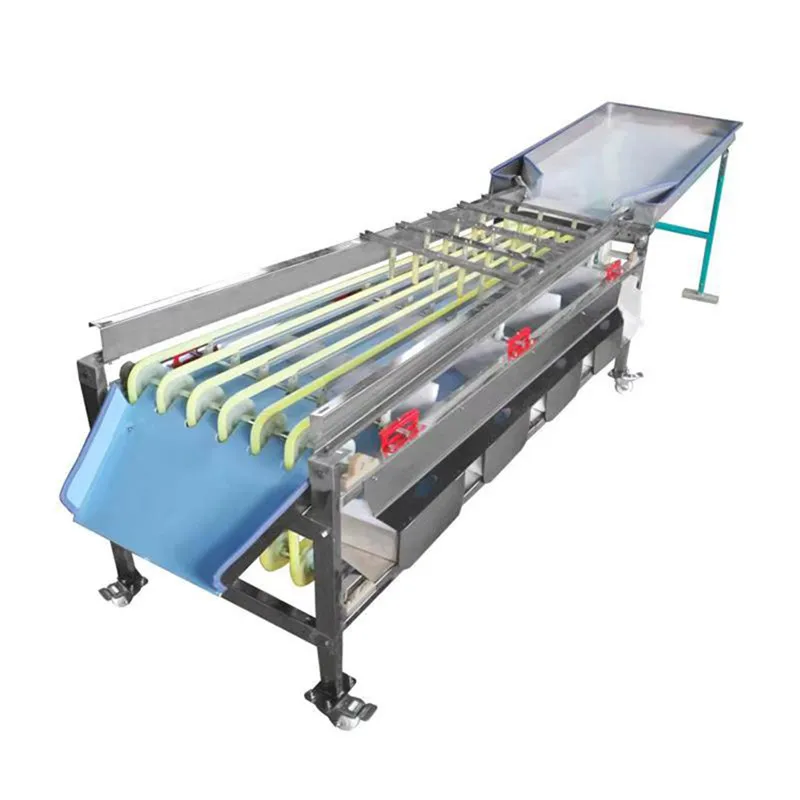 

Tomato Sorting Machine Commercial Fruit Grading Machine High Efficiency Avocado Sorting Machine