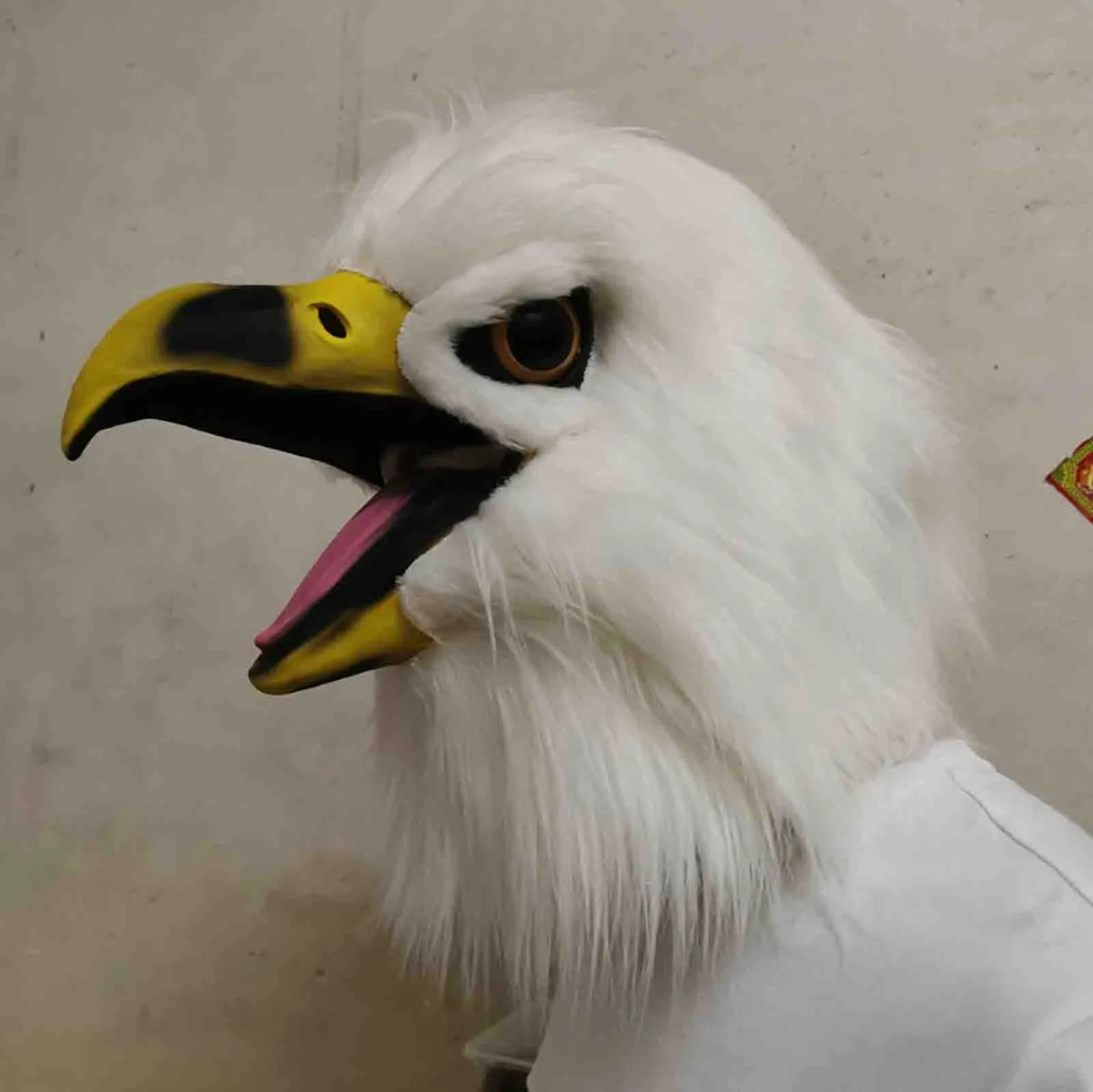 

10 Animal Headgear Halloween for Masquerade Costume Party